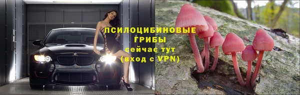 шишки Наволоки