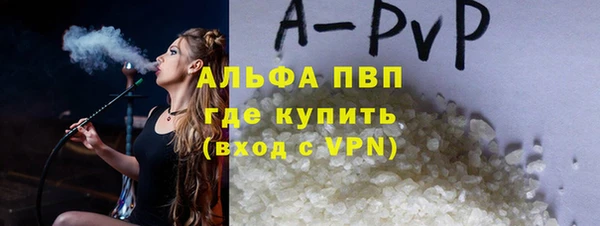 гашик Михайловск