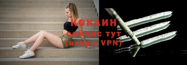 гашик Михайловск