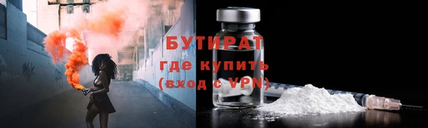 гидра Надым