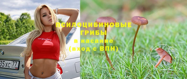 МДПВ Михайловка